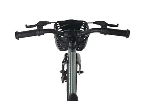 Детский велосипед Maxiscoo Jazz Pro 18 2026 / MSC-J1854P зеленый матовый 1