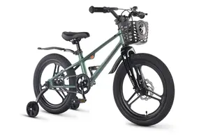 Детский велосипед Maxiscoo Shark Pro 18 2026 / MSC-SH1851P зеленый матовый 1