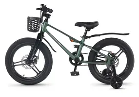 Детский велосипед Maxiscoo Shark Pro 18 2026 / MSC-SH1851P зеленый матовый 1