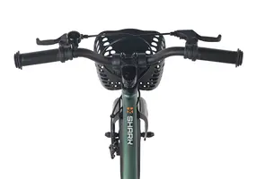 Детский велосипед Maxiscoo Shark Pro 18 2026 / MSC-SH1851P зеленый матовый 1