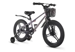 Детский велосипед Maxiscoo Shark Pro 18 2026 / MSC-SH1853P хамелеон 1