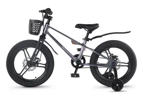 Детский велосипед Maxiscoo Shark Pro 18 2026 / MSC-SH1853P хамелеон 1