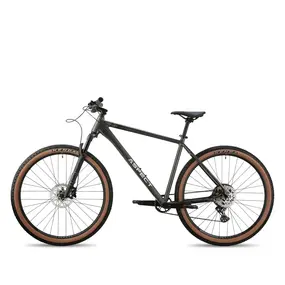 Велосипед Aspect Big Boy 29 Серый 1