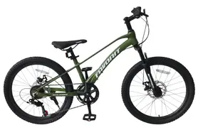 Велосипед Favorit Onyx 24 зеленый 1