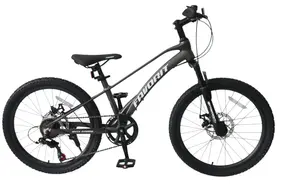 Велосипед Favorit Onyx 24 серый 1