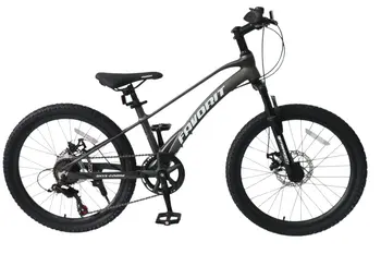 Велосипед Favorit Onyx 24 серый 1
