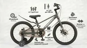 Детский велосипед Favorit Tornadо 18 серый 1