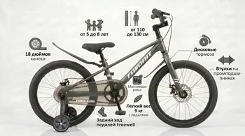 Детский велосипед Favorit Tornadо 18 серый 1