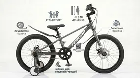 Детский велосипед Favorit Tornado 20 серый 1