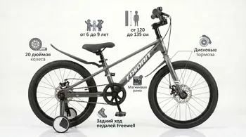 Детский велосипед Favorit Tornado 20 серый 1