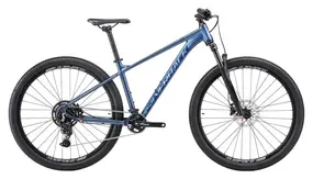 Велосипед SILVERBACK SE:SERIES 9 29 MATT DEEP PASSION BLUE/GLOSS BLUE M(420mm) 2026 1