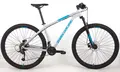 Велосипед Titan Racing Rogue Alpine Quaker Grey 1