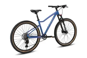 Велосипед Hagen Queen 9 Blue chameleon 1
