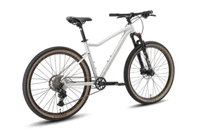 Велосипед Hagen Queen 9 Pearl white 1