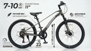 Велосипед Favorit Onyx 22 серый 1