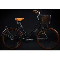 Велосипед Foxter Holland 2022 (черный) 2