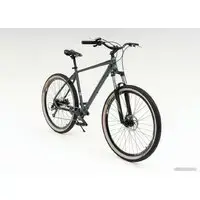 Велосипед Foxter Dallas 29 р.21 2024 (серый) 1