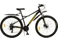 Велосипед Favorit Apollo 29 APL29HD17BG-AL 1