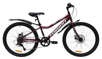 Велосипед Favorit Sirius 24VS SIR24V12CH 2