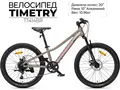 Детский велосипед Timetry TT414 20 бронзовый 1
