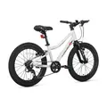 Велосипед детский Maxiscoo 3BIKE 20 L Серый (2025) 1