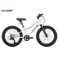 Велосипед детский Maxiscoo 3BIKE 20 L Серый (2025) 1