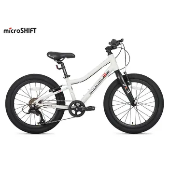 Велосипед детский Maxiscoo 3BIKE 20 L Серый (2025) 1