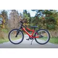 Детский велосипед Alpinebike Pegas 3-20 рассветный оранжевый 1