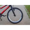 Детский велосипед Alpinebike Pegas 3-20 рассветный оранжевый 1