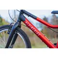 Детский велосипед Alpinebike Pegas 3-20 рассветный оранжевый 1