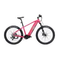 Электровелосипед Alpinebike МТБ Finsteraarhorn ALPN_J23ES007_E_M_R 1
