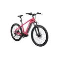 Электровелосипед Alpinebike МТБ Finsteraarhorn ALPN_J23ES007_E_M_R 1