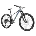 Велосипед SILVERBACK SE:SERIES 10 29 GLOSS RAINBOW PEARL/MATT BLACK L(455mm) 2026 1