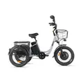 Трёхколёсный электровелосипед Eltreco Porter Fat 500 серебристый матовый-3206 1