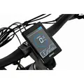 Трёхколёсный электровелосипед Eltreco Porter Fat 500 серебристый матовый-3206 1
