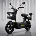 Электроскутер GEKKON EC02 зеленый (АКБ LiFePO4 20 Ah) 1