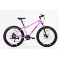 Велосипед FUHSI FU660 26 розовый 1