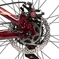 Велосипед Stinger Laguna 26 бежевый 1