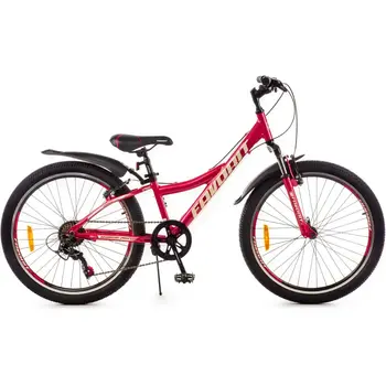 Велосипед Favorit Discovery 24VA DIS24V11RD-AL 1