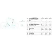 Велосипед Aspect Radium 3X Pro 29 XL 2025 1