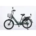 Электровелосипед MyWay Truck 350 24 темно-зеленый 1