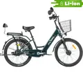 Электровелосипед MyWay Truck 350 24 темно-зеленый 1