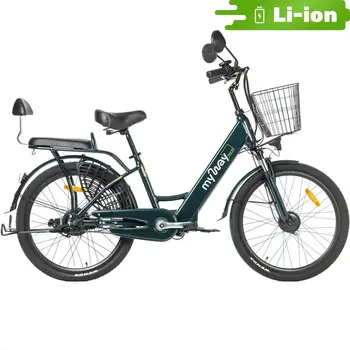 Электровелосипед MyWay Truck 350 24 темно-зеленый 1