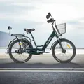 Электровелосипед MyWay Truck 350 24 темно-зеленый 1