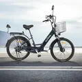 Электровелосипед MyWay Truck 350 24 темно-синий 1