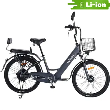 Электровелосипед MyWay Truck 500 24 графитовый 1