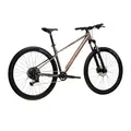 Велосипед Kross Level X100 U 29 gry_bro m KRLVX129X19U010102 1