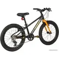 Детский велосипед Maxiscoo 5Bike 20 M 2024 (черный матовый) 1