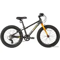 Детский велосипед Maxiscoo 5Bike 20 M 2024 (черный матовый) 1
