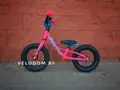 Focus Raven Rookie Run розовый 1
